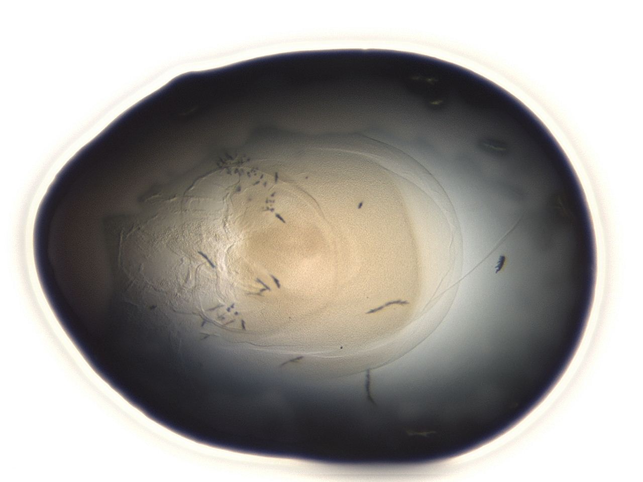 04g9_B1_ImagerDefaults_3.jpg