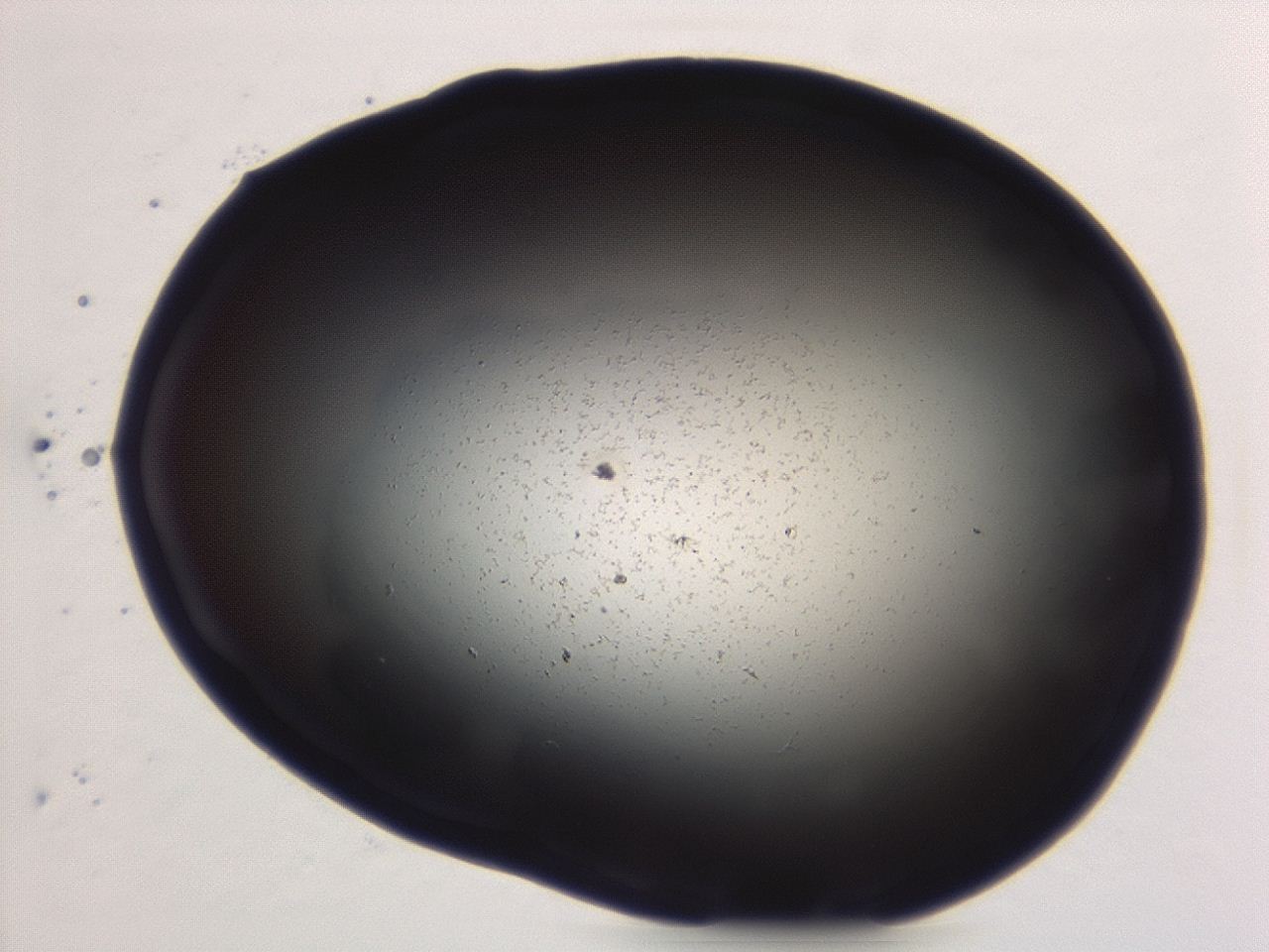 04g9_A6_ImagerDefaults_0.jpg
