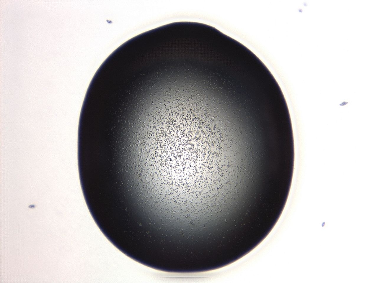 04g9_A7_ImagerDefaults_3.jpg