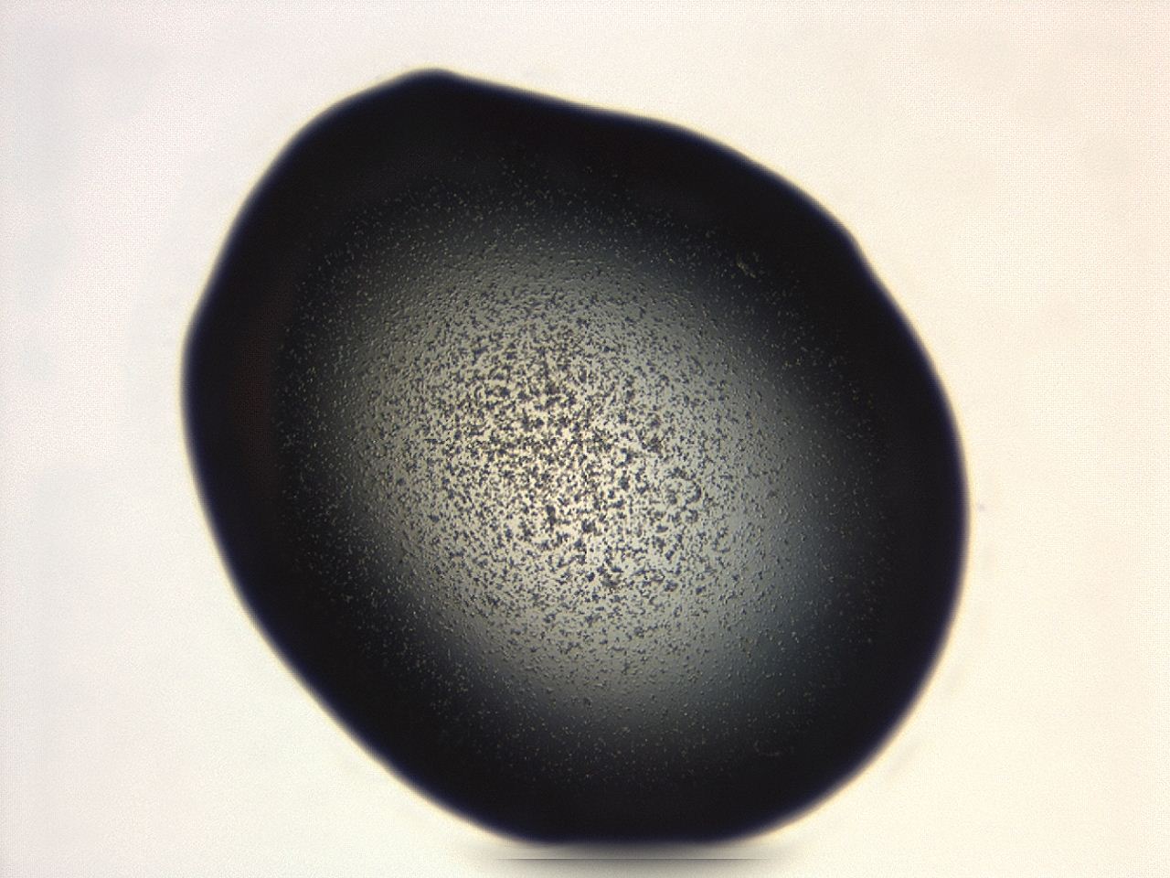 04g9_B2_ImagerDefaults_3.jpg