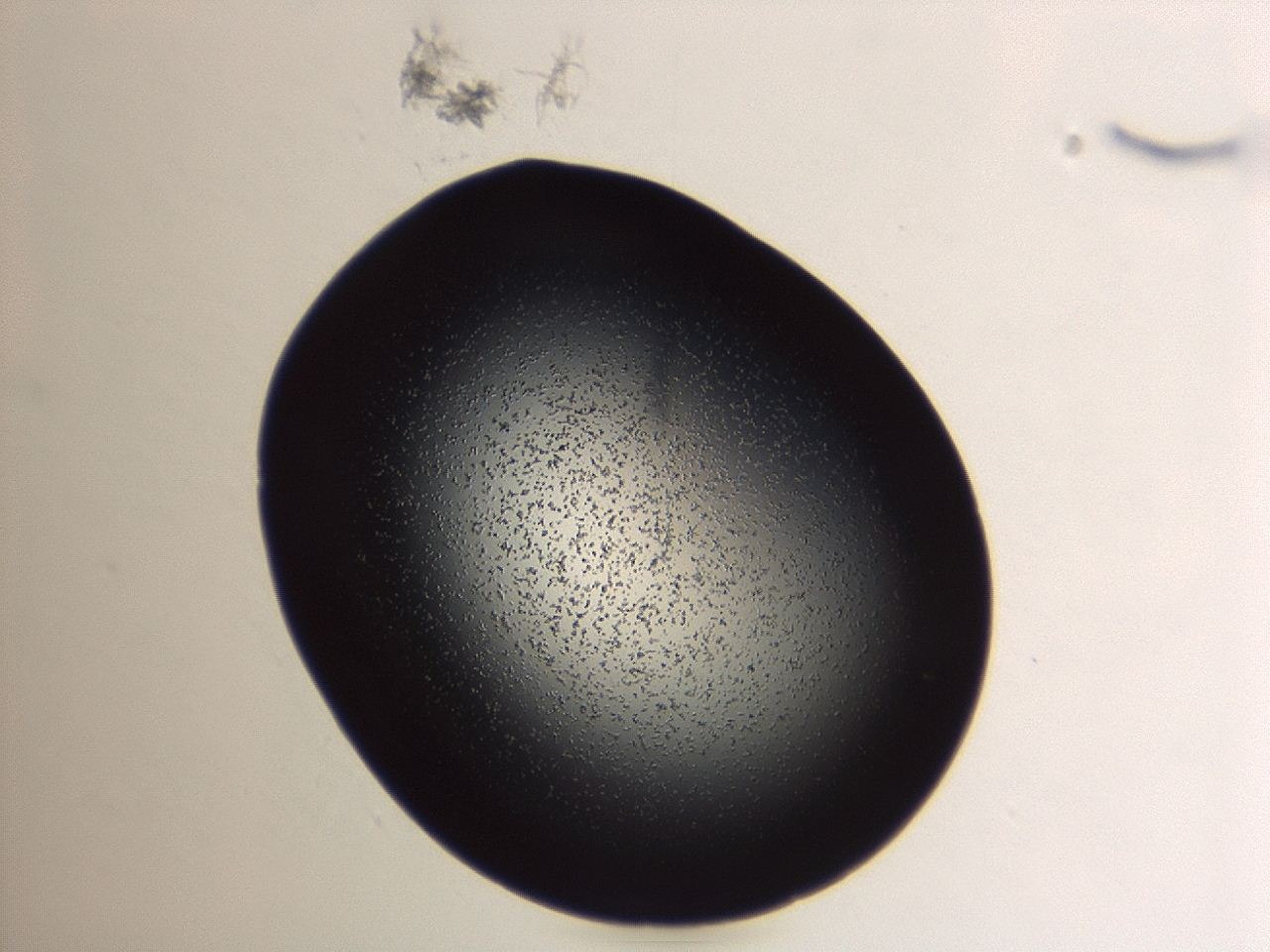 04g9_A11_ImagerDefaults_3.jpg