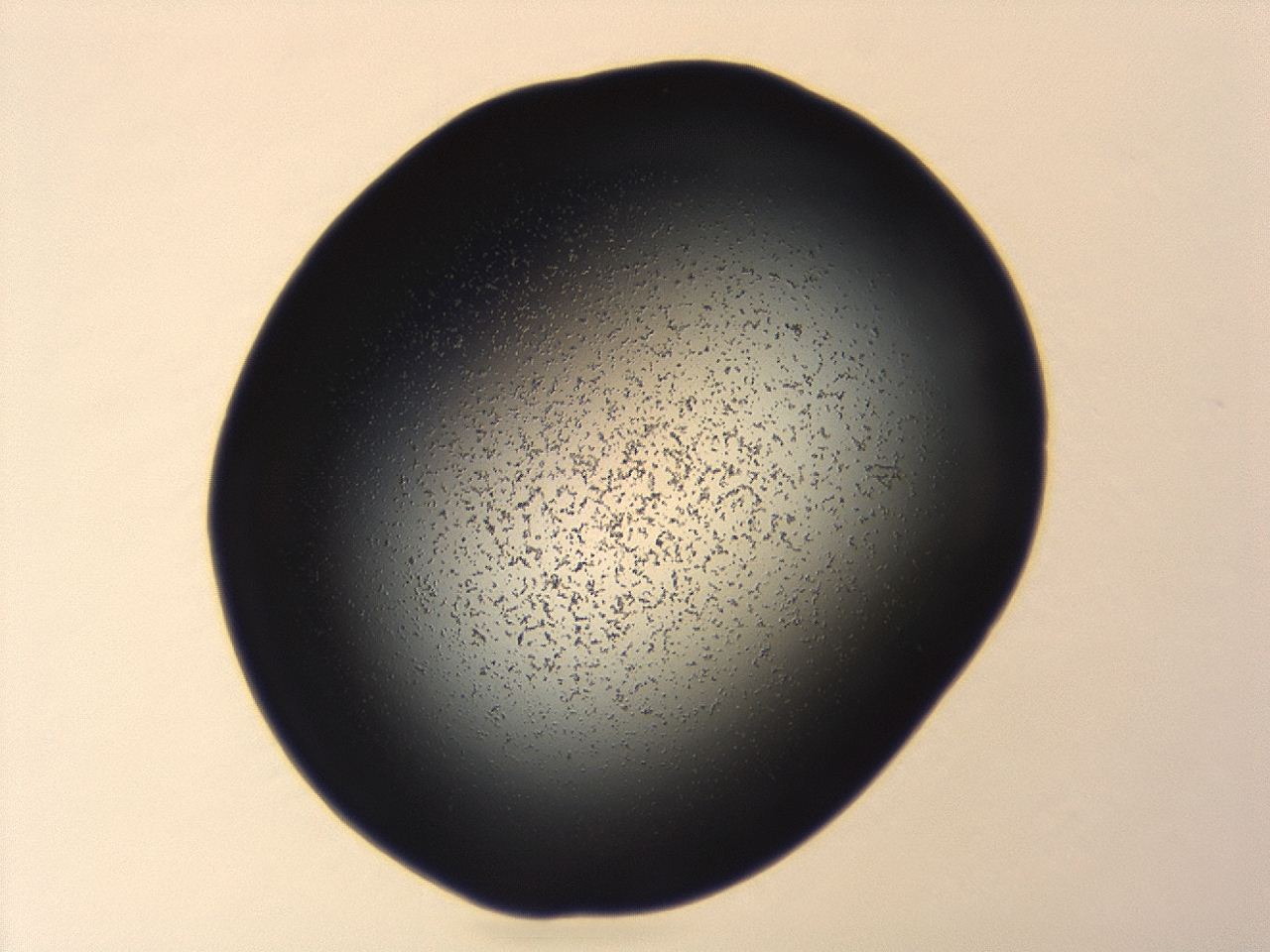 04g9_A10_ImagerDefaults_0.jpg