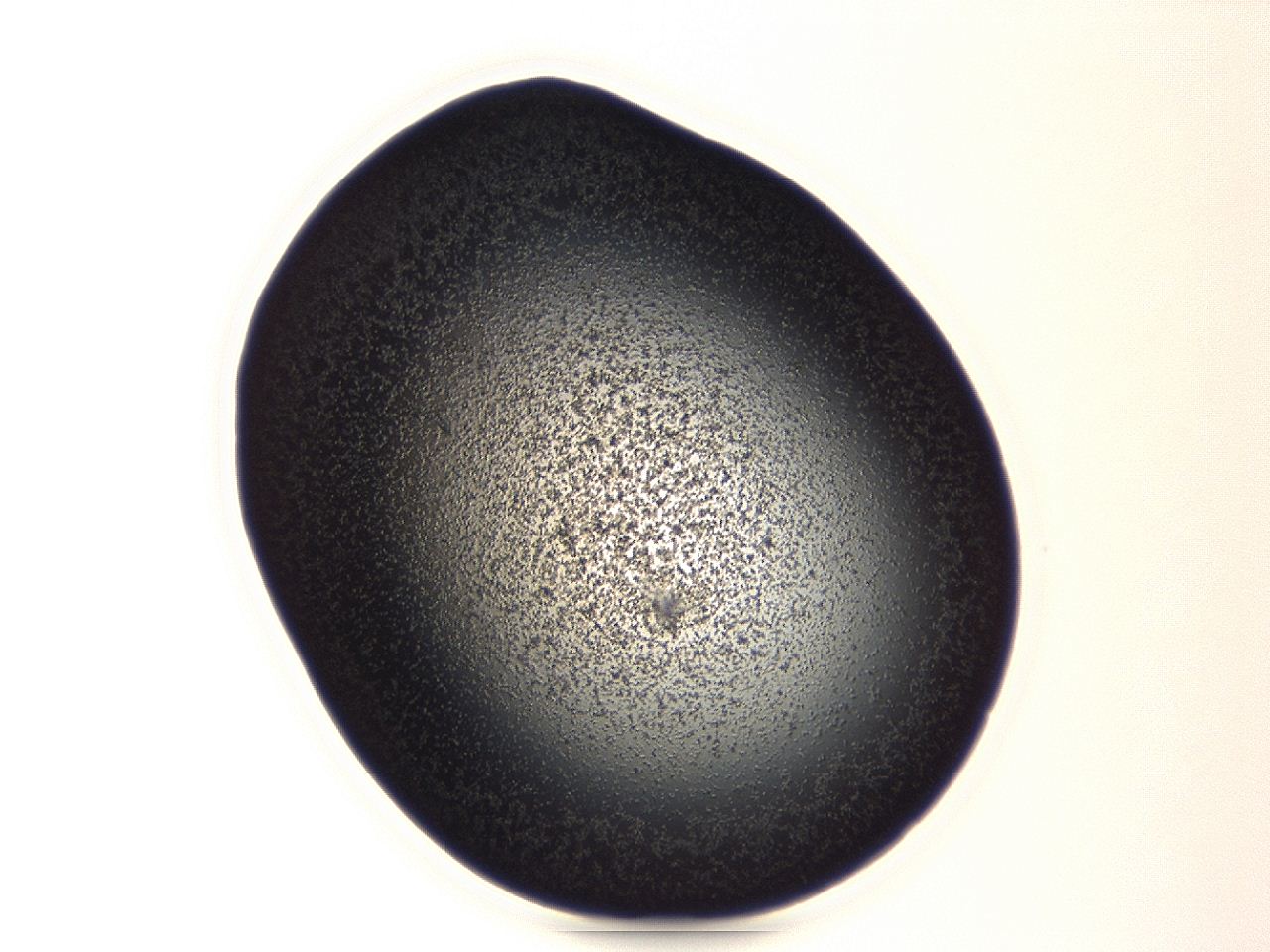 04g9_A1_ImagerDefaults_3.jpg