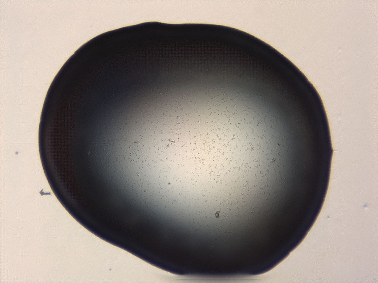 04g9_A2_ImagerDefaults_0.jpg