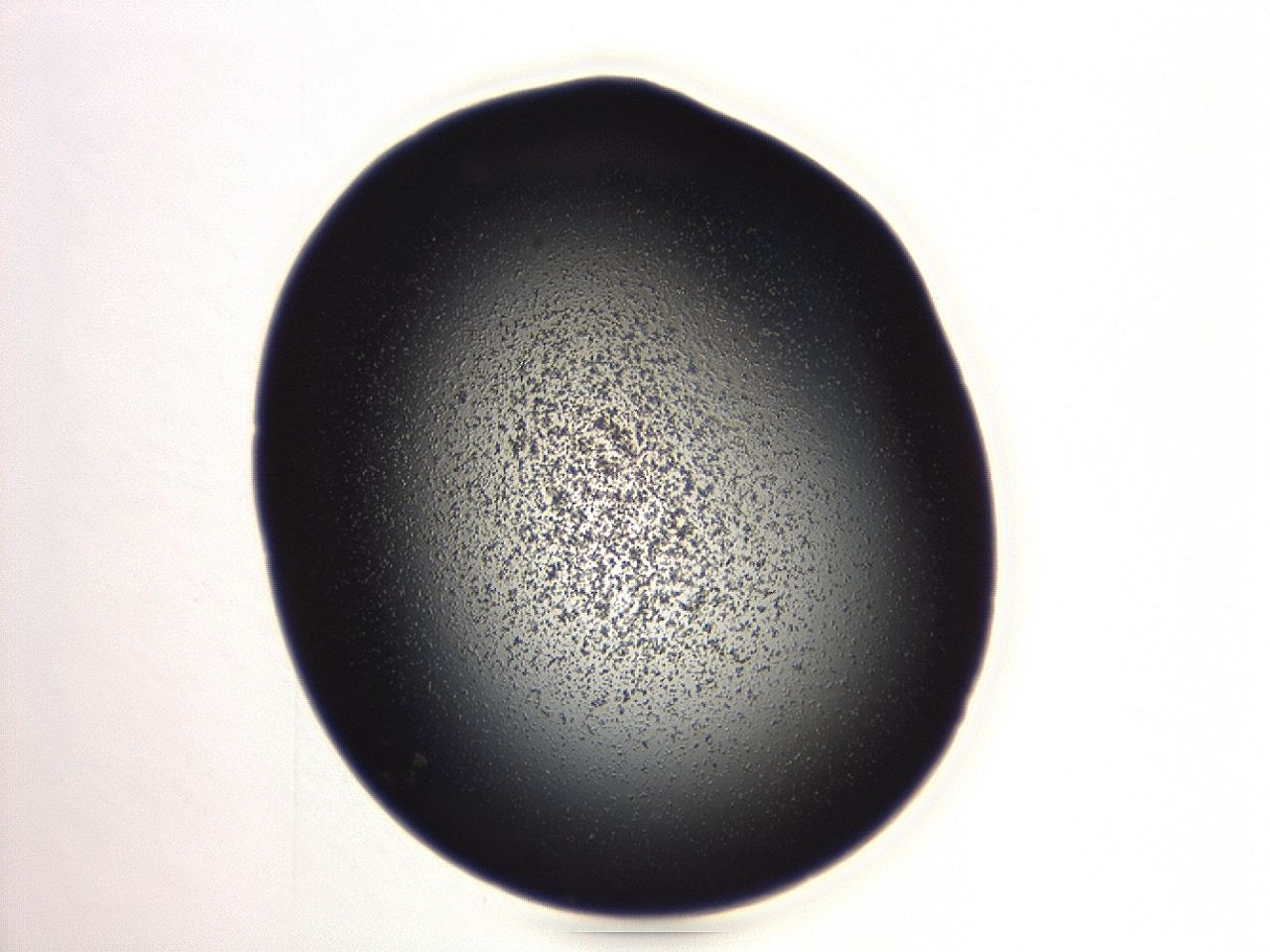 04g9_A3_ImagerDefaults_3.jpg