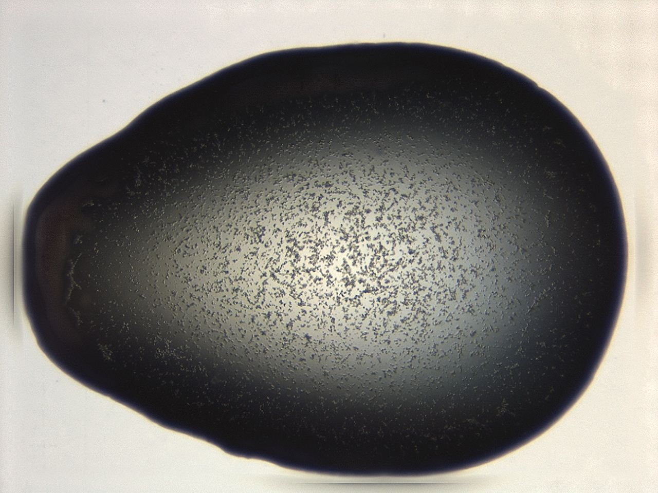 04g9_B3_ImagerDefaults_3.jpg