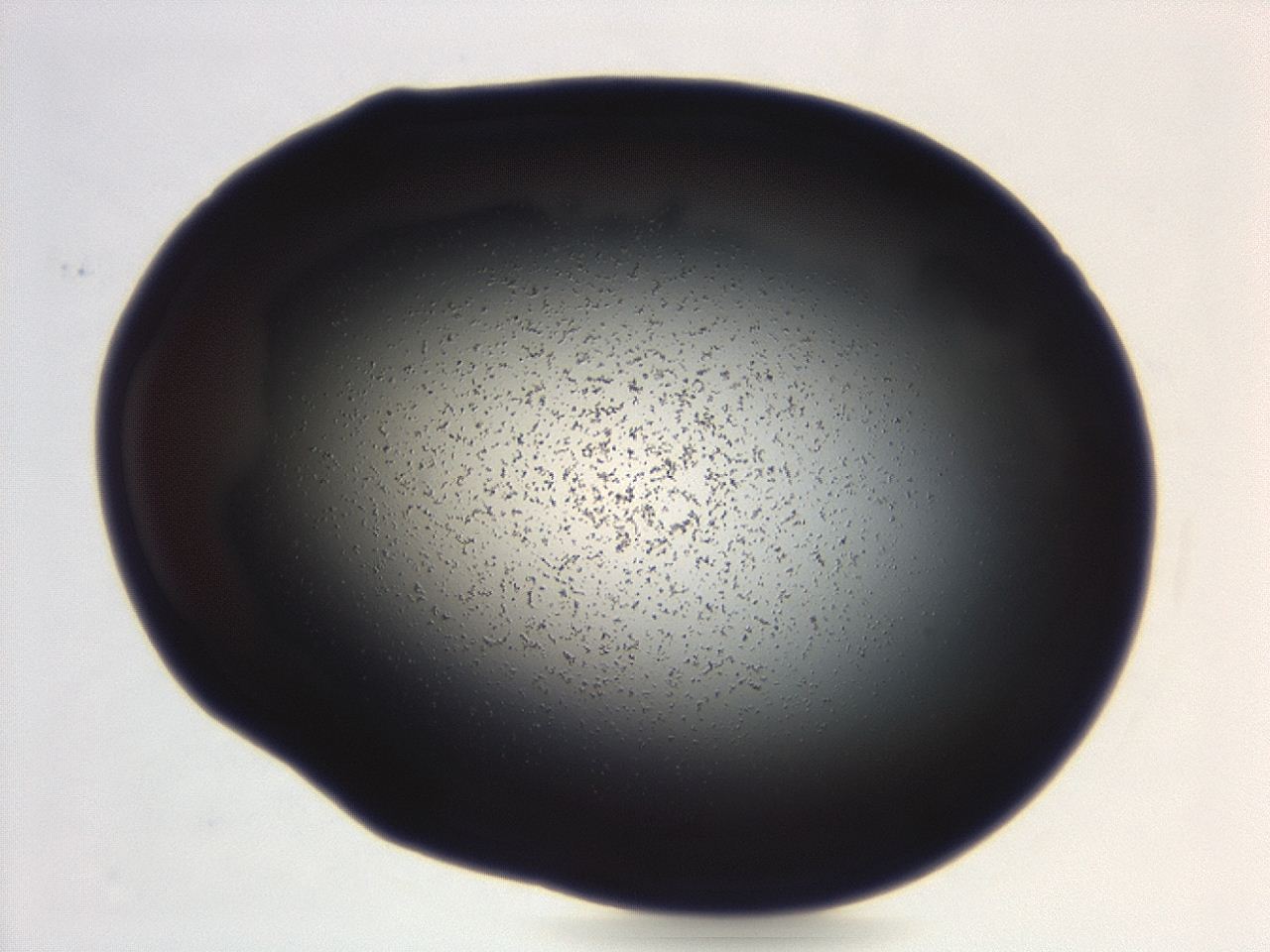 04g9_B6_ImagerDefaults_0.jpg
