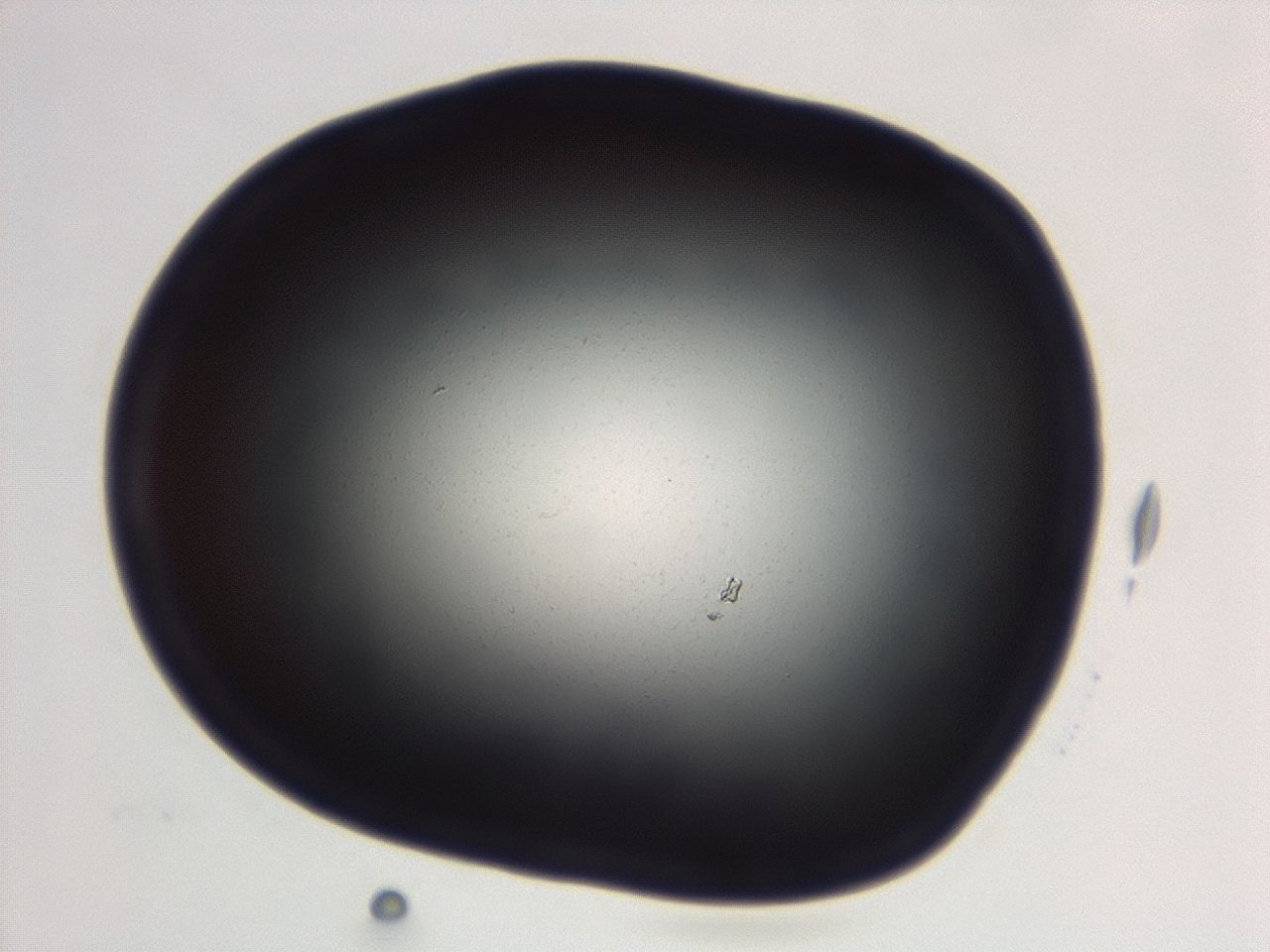 04g9_B10_ImagerDefaults_0.jpg