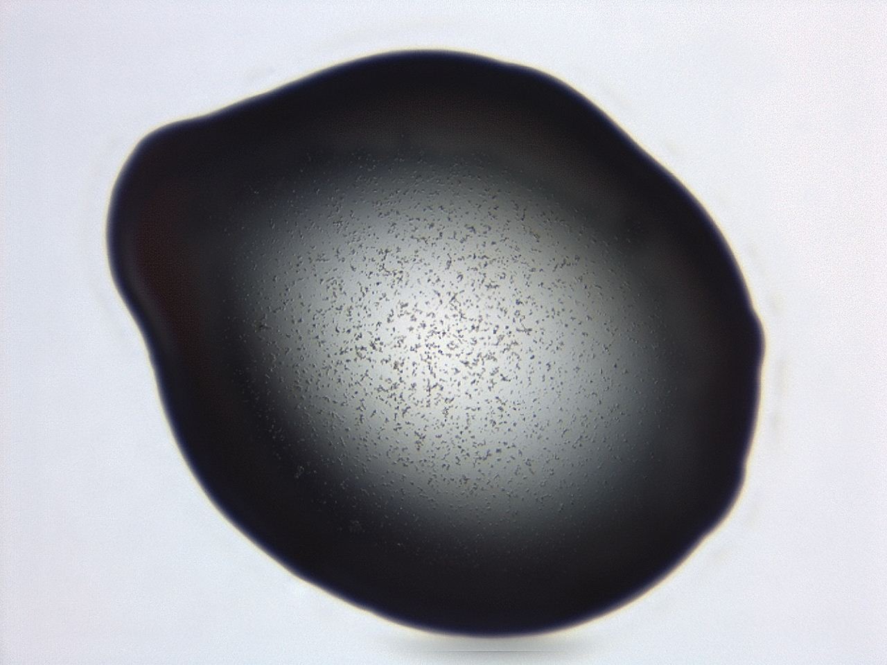 04g9_B11_ImagerDefaults_0.jpg