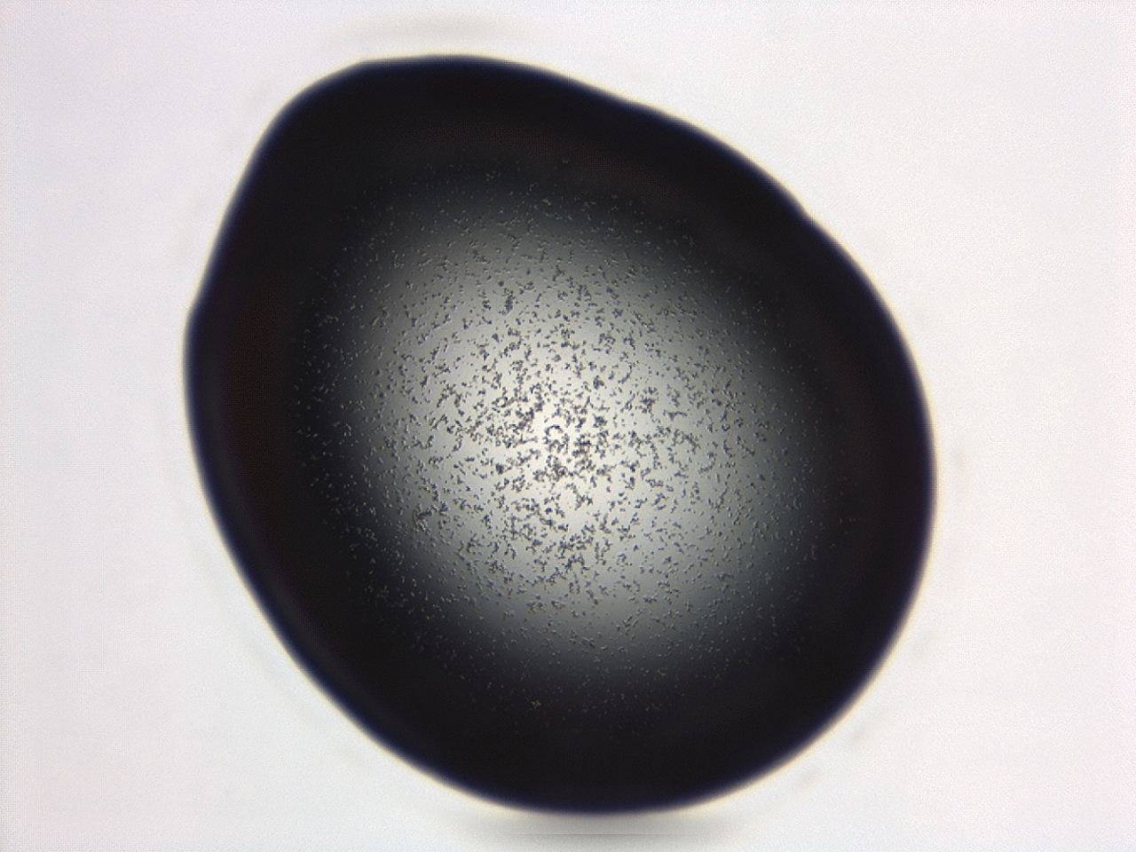 04g9_B12_ImagerDefaults_3.jpg
