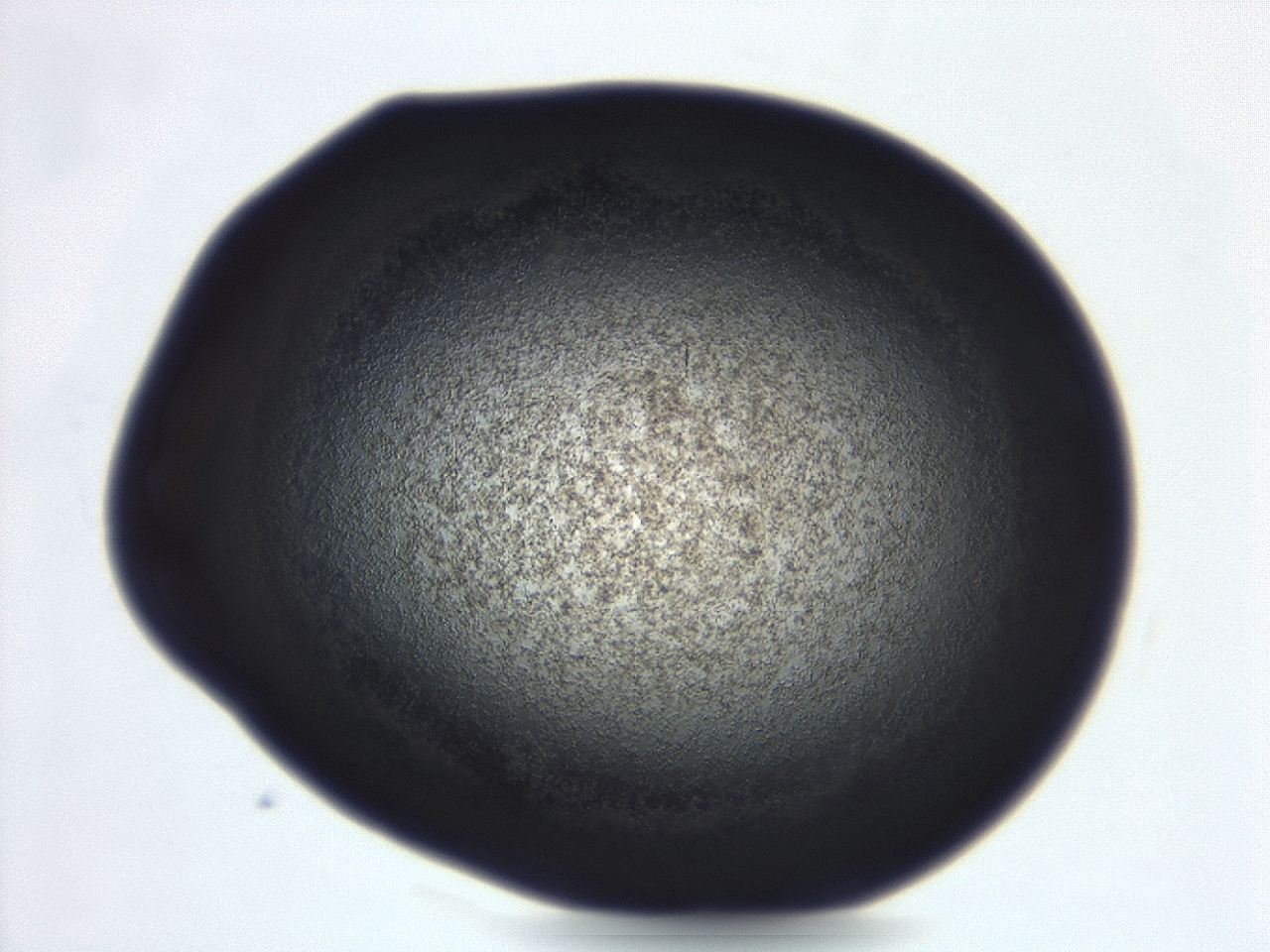 04g9_C1_ImagerDefaults_3.jpg