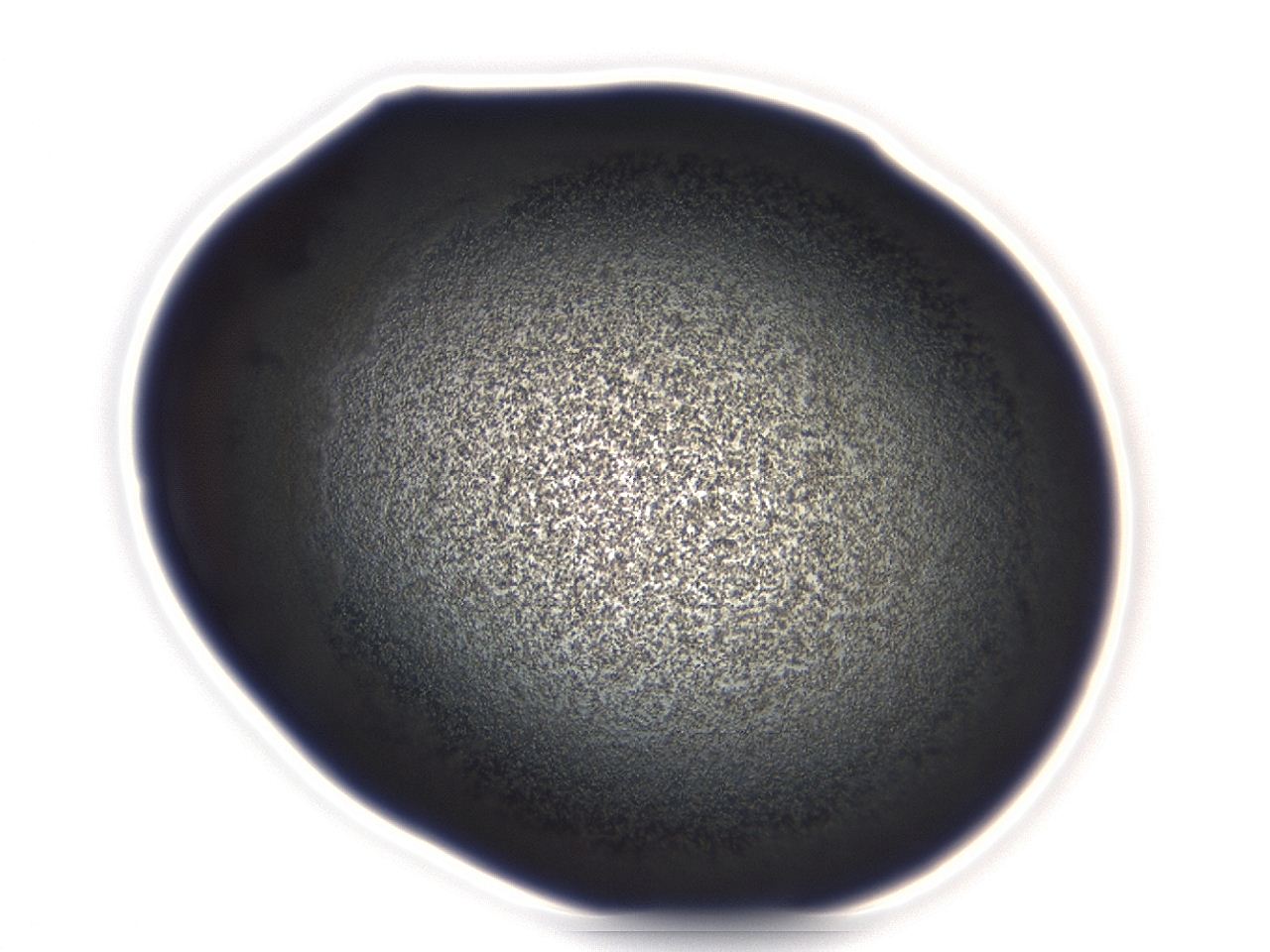 04g9_C2_ImagerDefaults_3.jpg