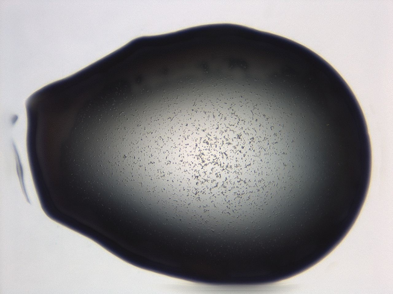 04g9_C3_ImagerDefaults_0.jpg