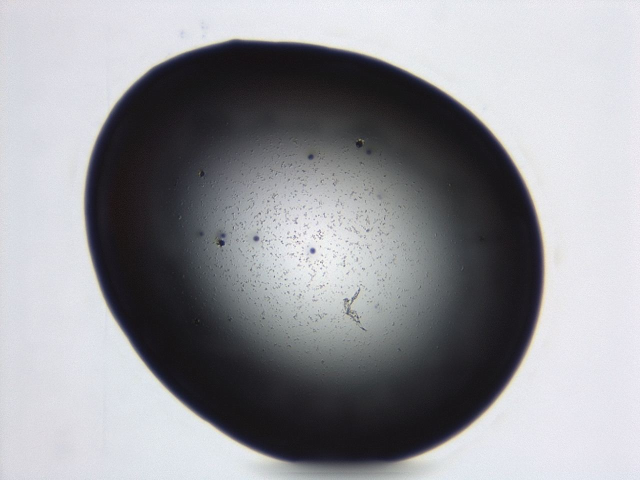 04g9_C5_ImagerDefaults_0.jpg