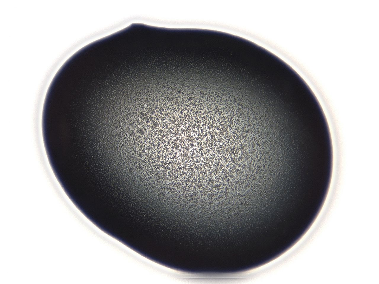 04g9_C6_ImagerDefaults_3.jpg