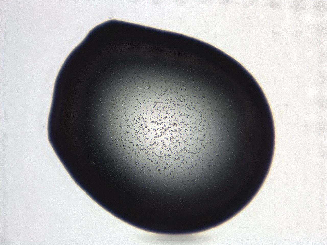 04g9_C7_ImagerDefaults_3.jpg