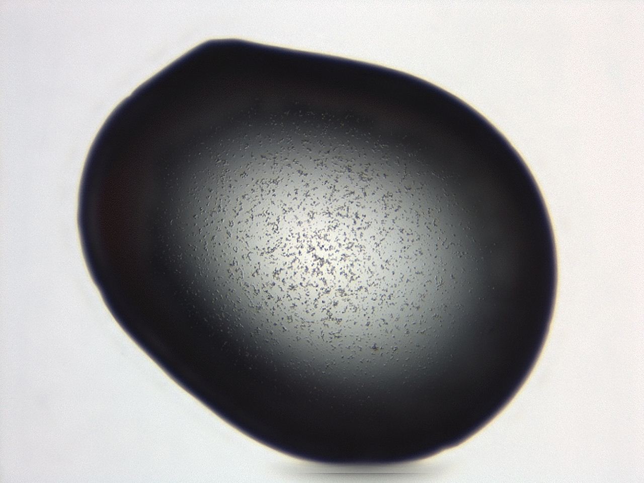04g9_C8_ImagerDefaults_3.jpg