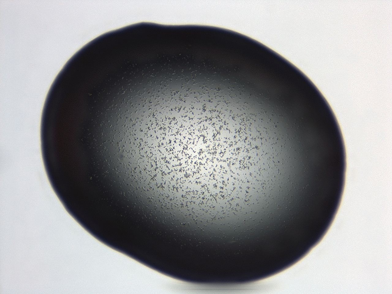 04g9_C9_ImagerDefaults_3.jpg