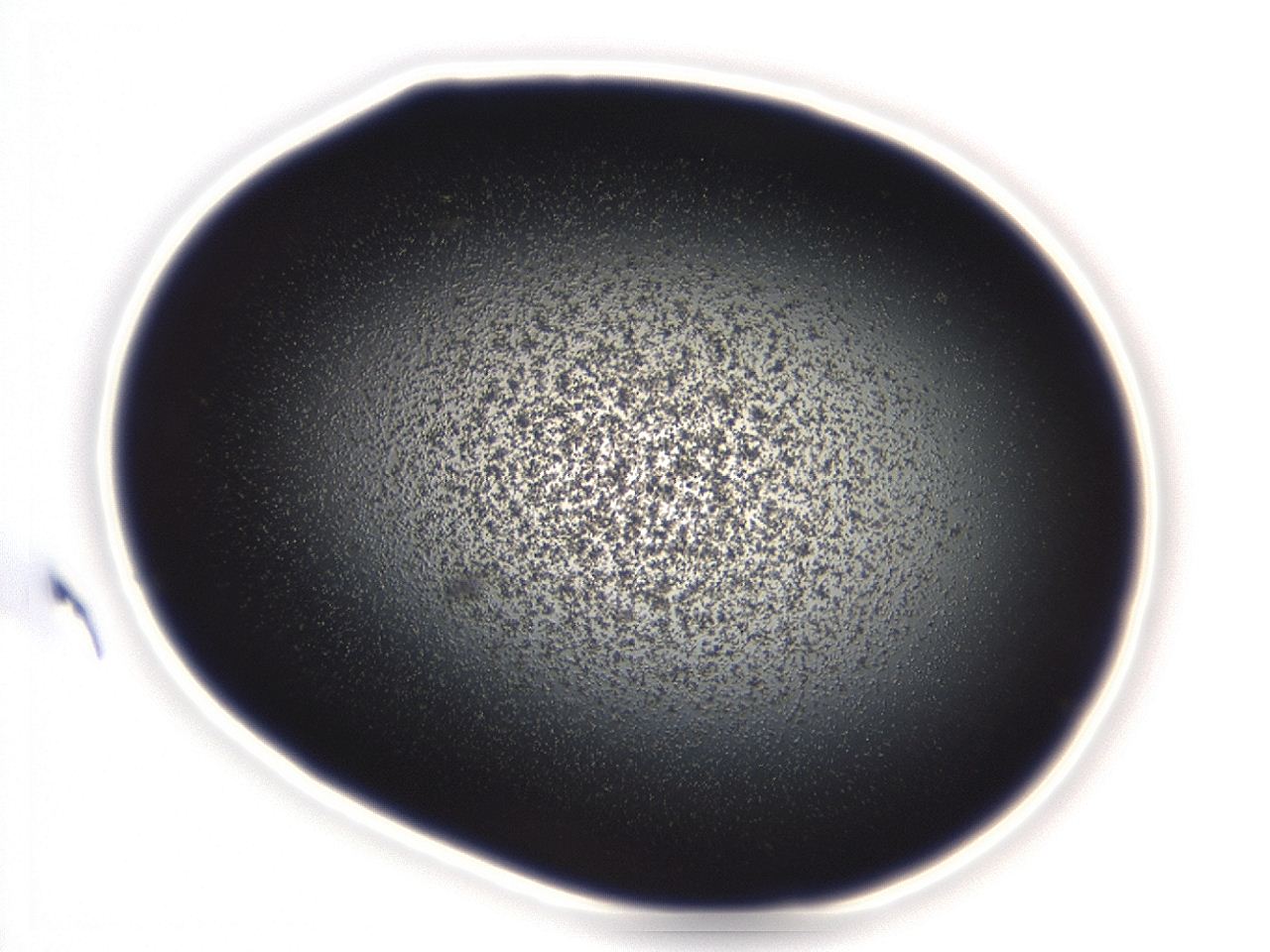 04g9_C10_ImagerDefaults_3.jpg