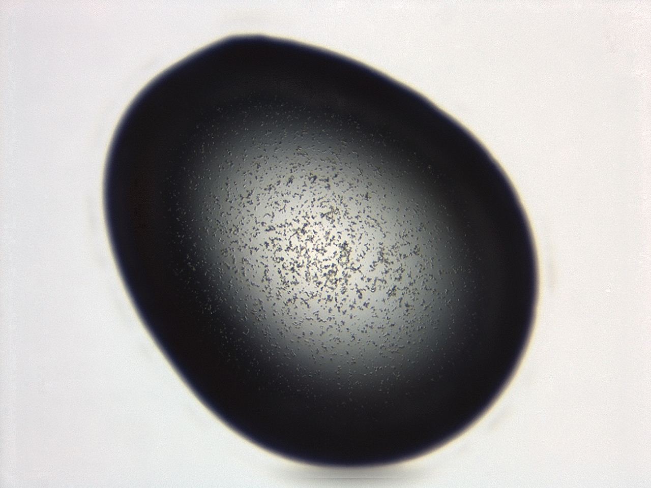 04g9_C12_ImagerDefaults_3.jpg