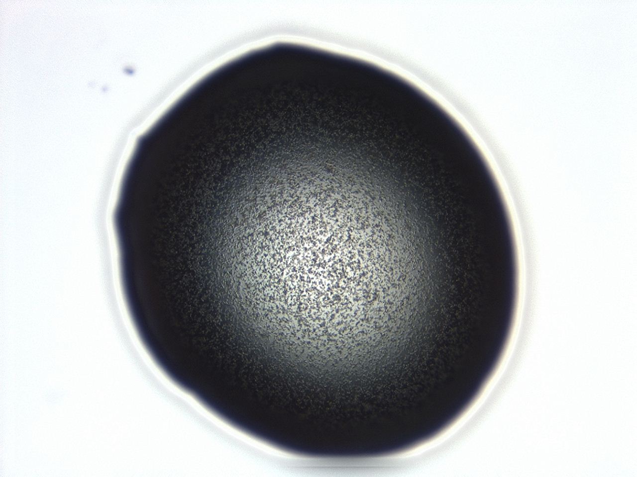 04g9_D1_ImagerDefaults_3.jpg