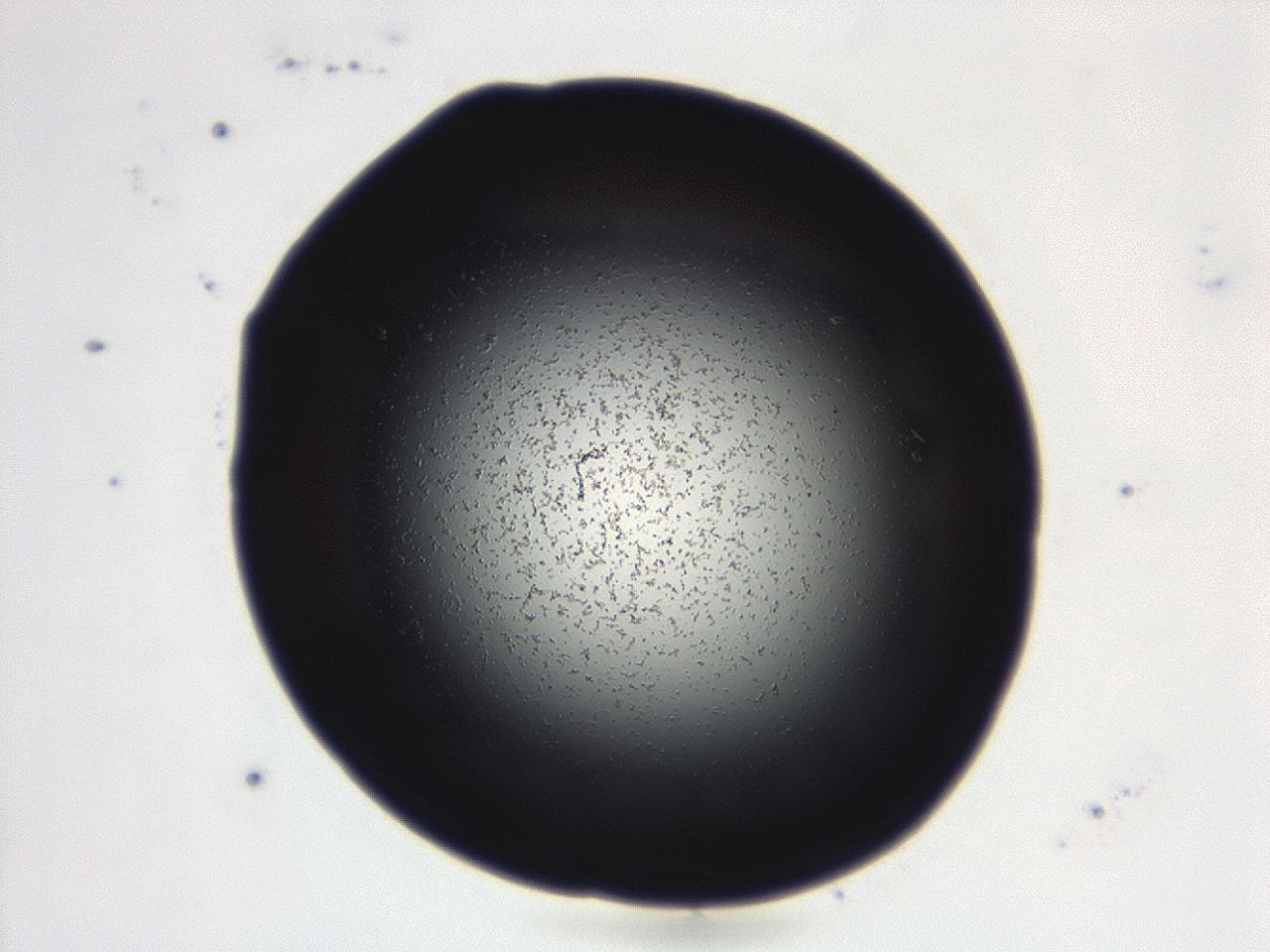04g9_D4_ImagerDefaults_0.jpg