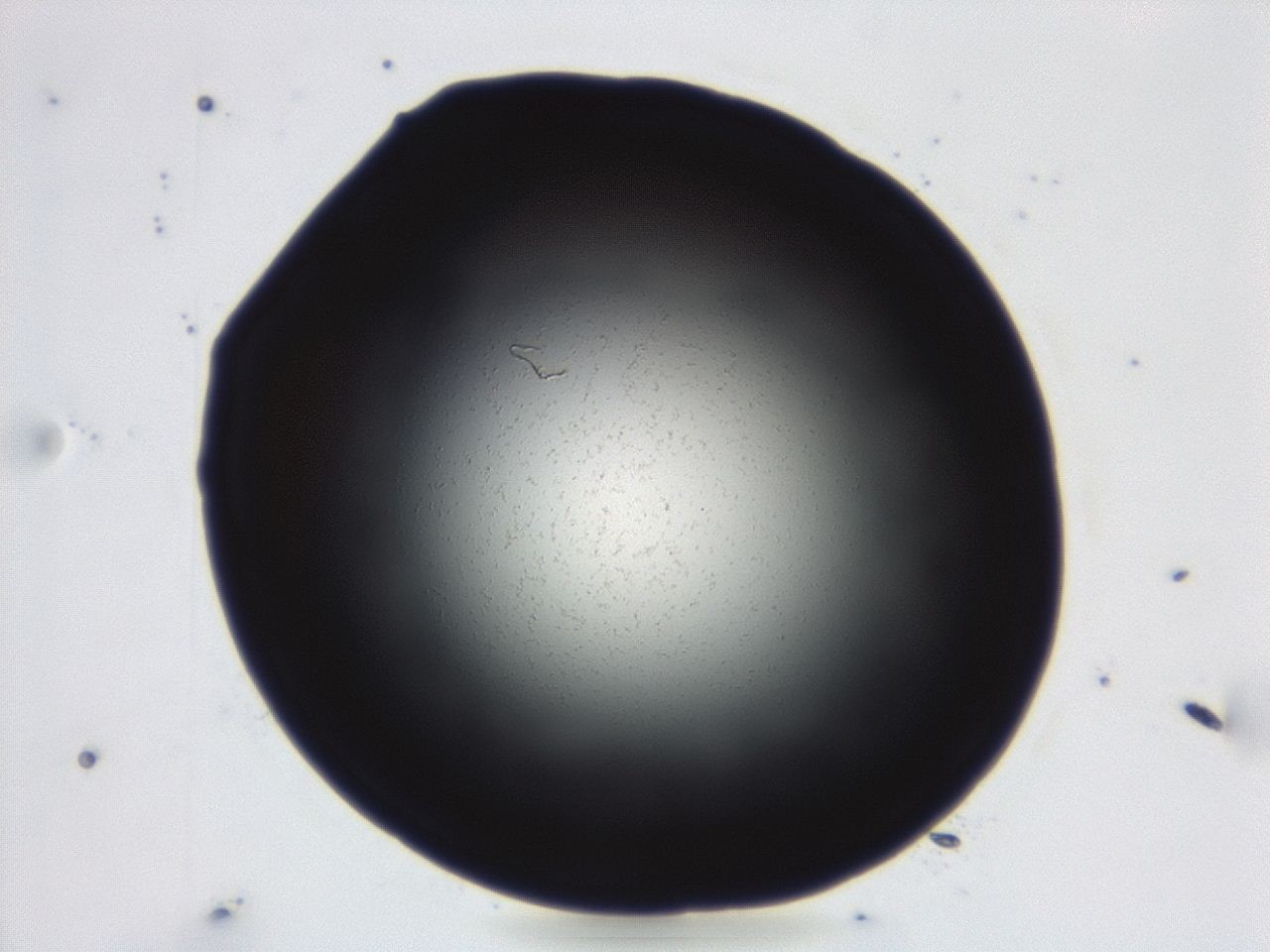 04g9_D5_ImagerDefaults_0.jpg