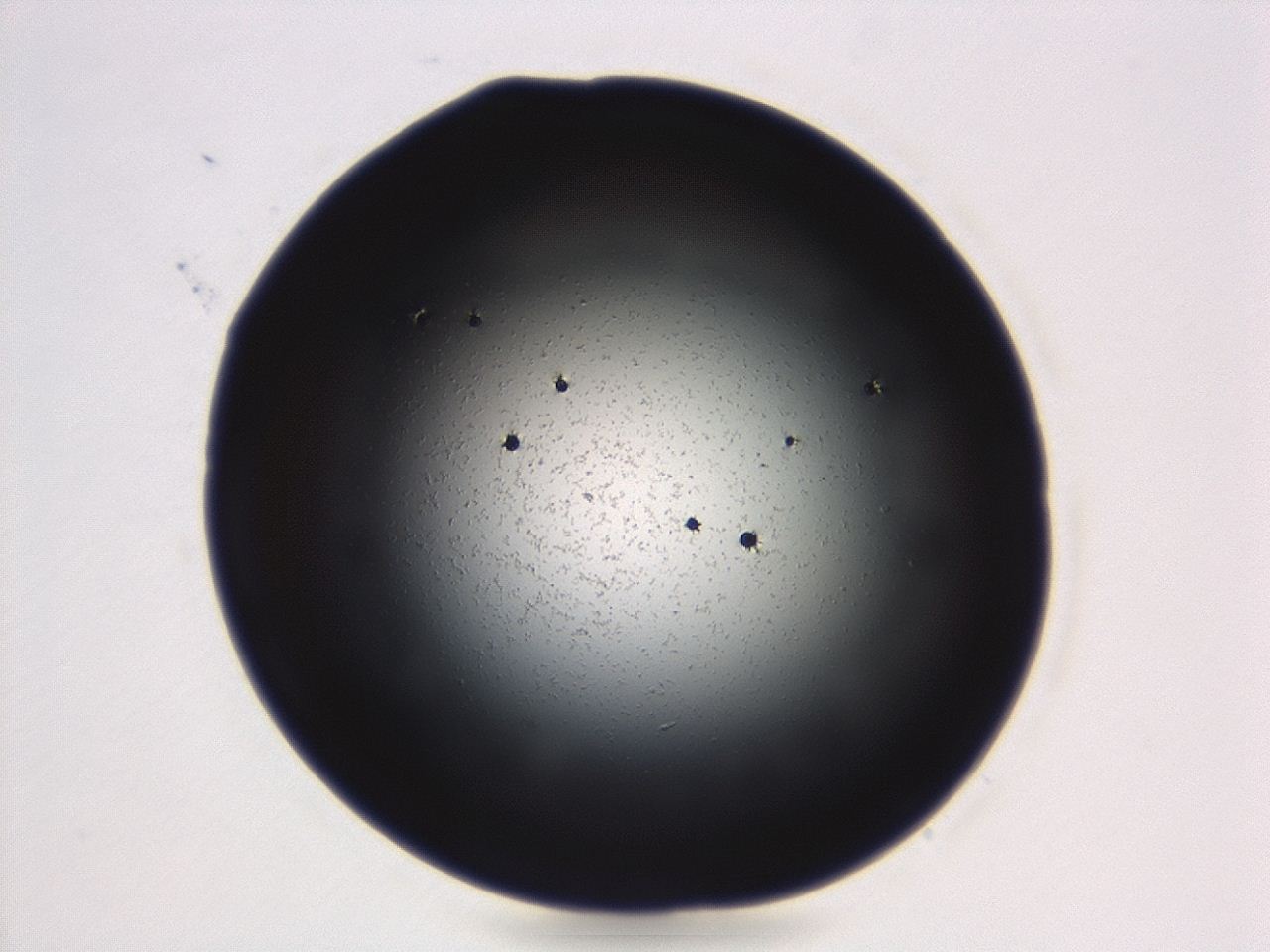 04g9_D6_ImagerDefaults_0.jpg