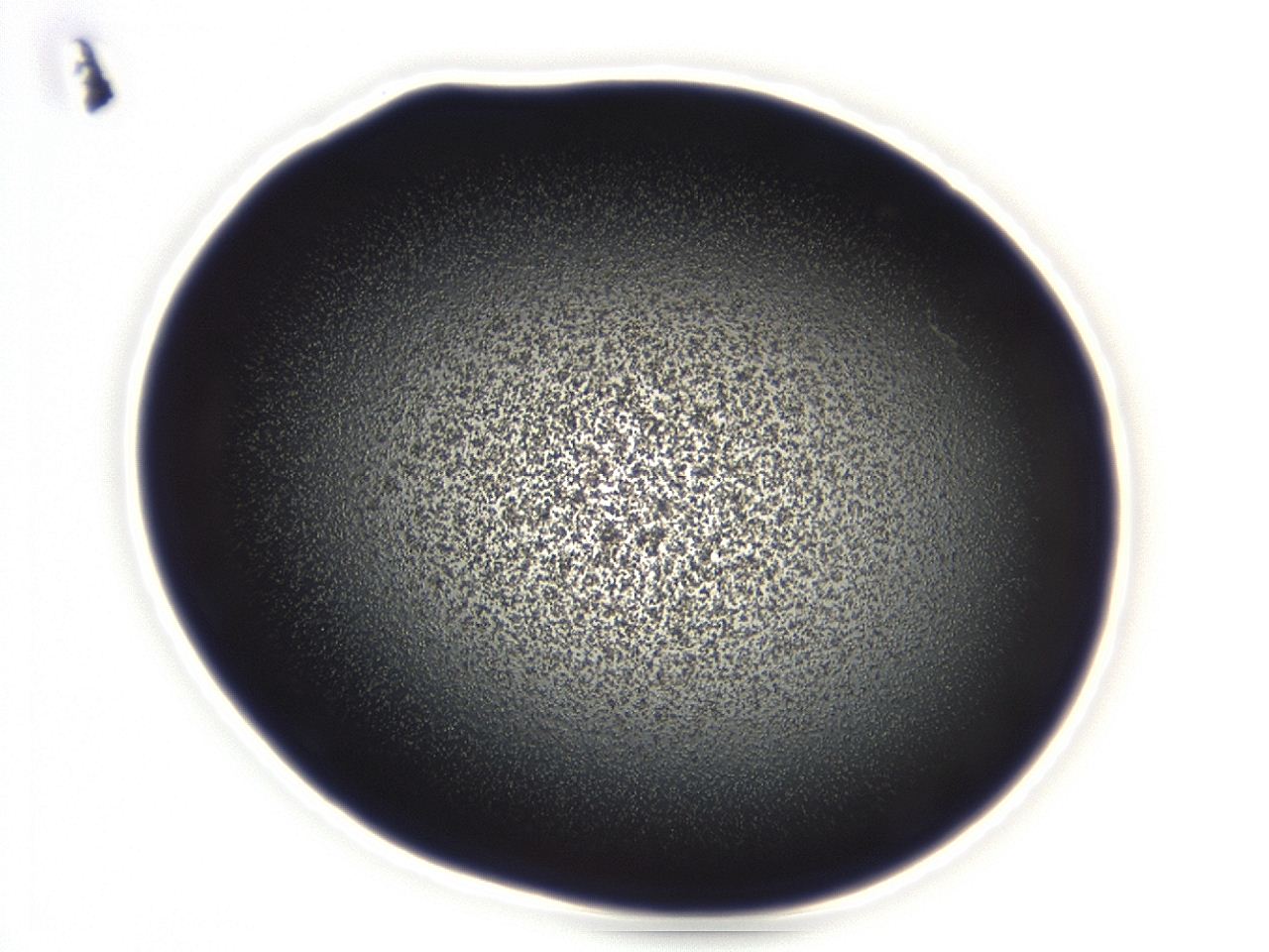 04g9_D7_ImagerDefaults_3.jpg