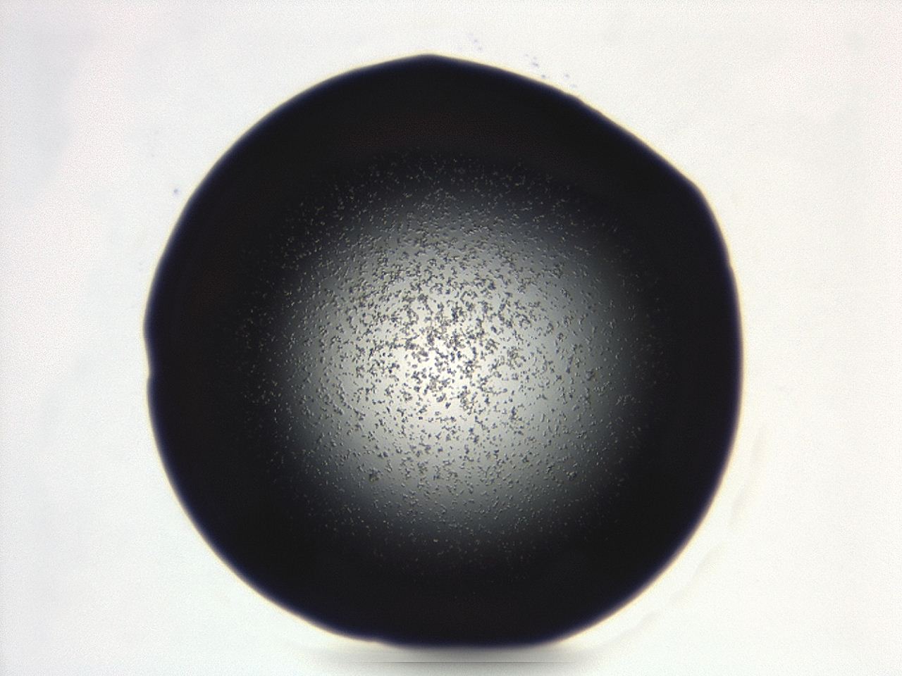 04g9_D8_ImagerDefaults_3.jpg