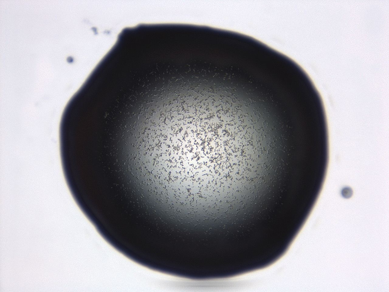 04g9_D10_ImagerDefaults_3.jpg