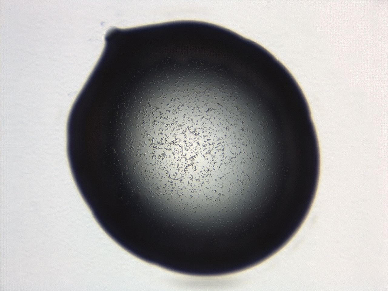 04g9_D11_ImagerDefaults_3.jpg