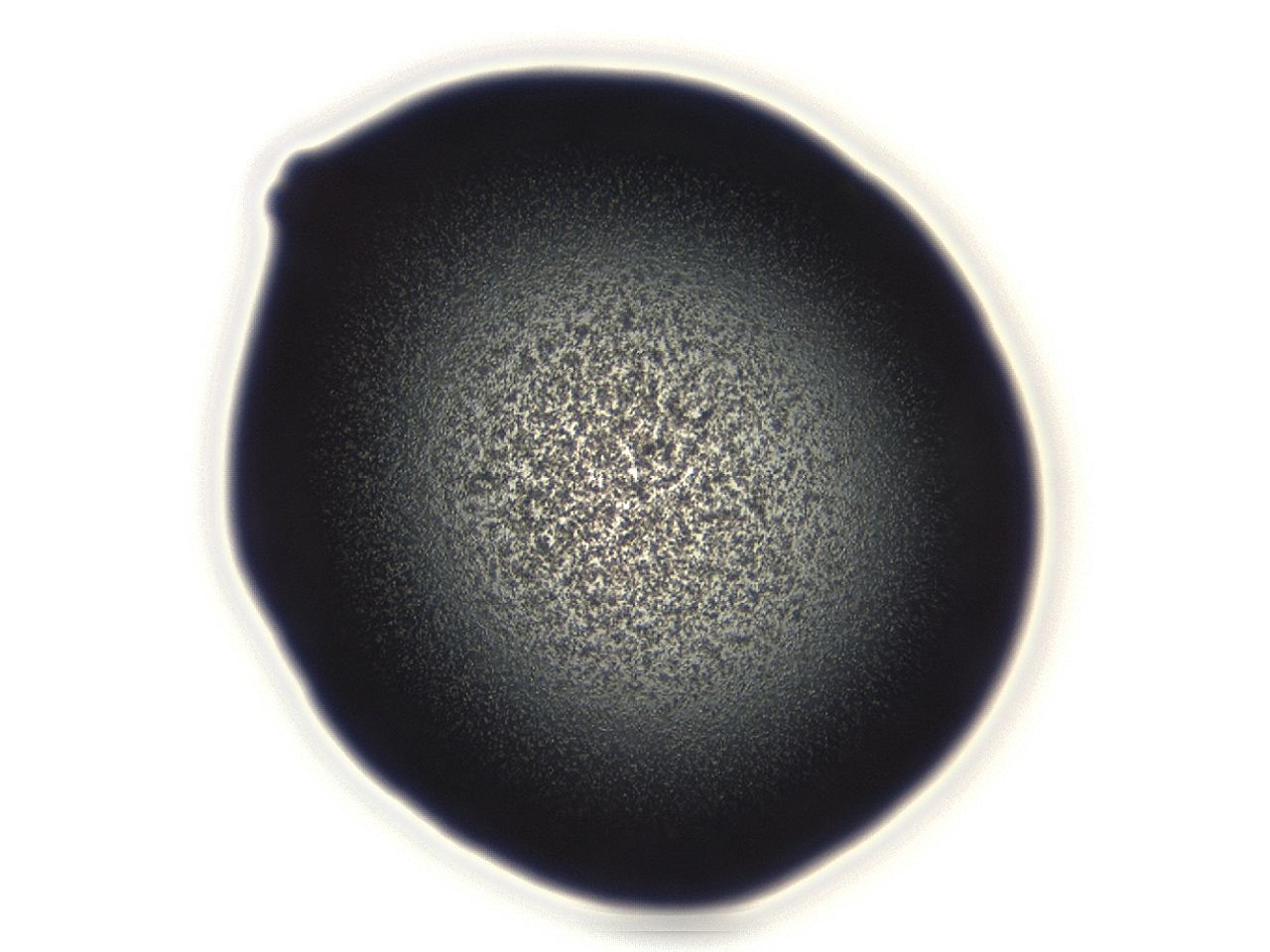 04g9_D12_ImagerDefaults_3.jpg