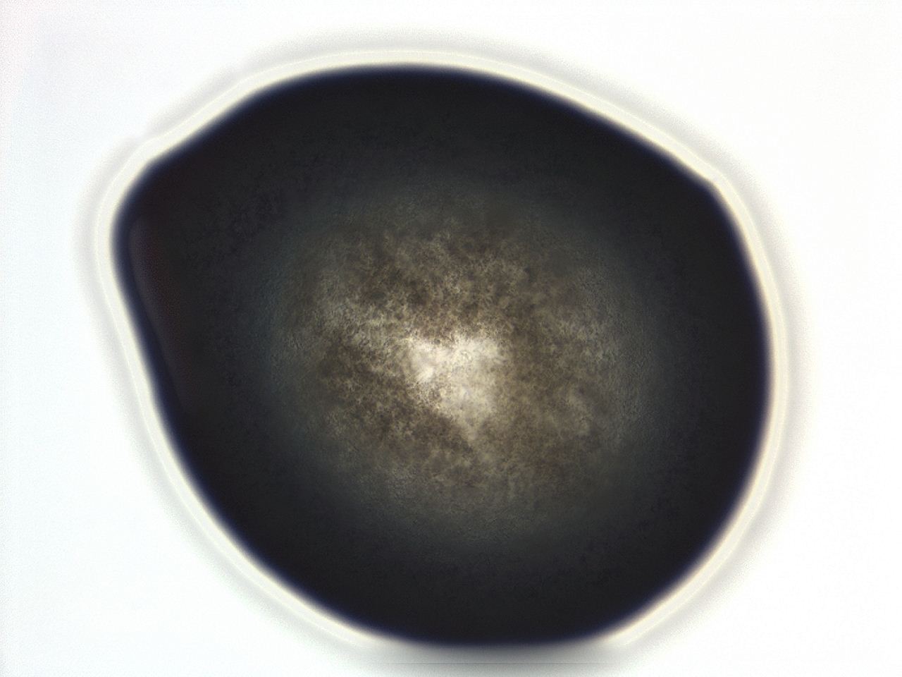 04g9_E1_ImagerDefaults_3.jpg