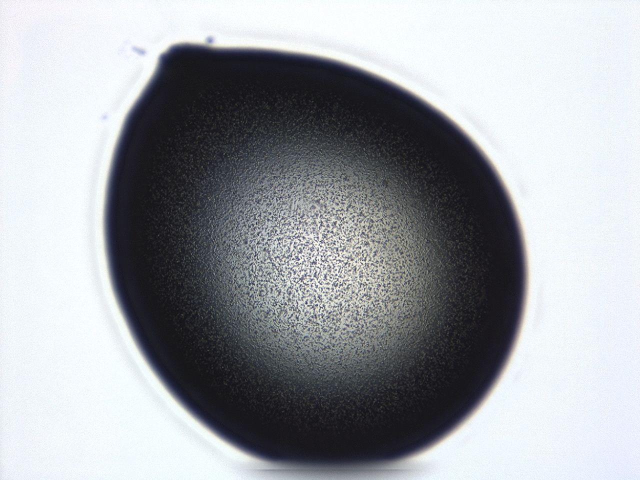 04g9_E2_ImagerDefaults_3.jpg