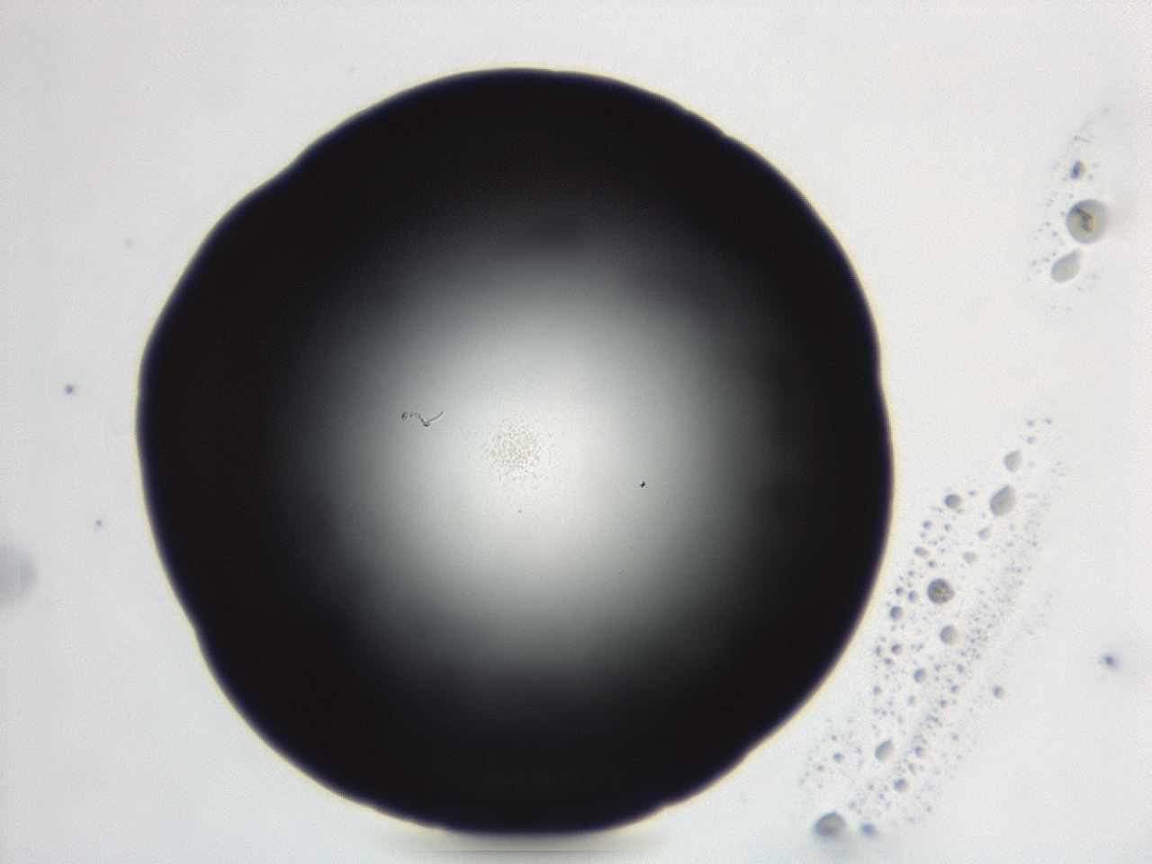 04g9_E5_ImagerDefaults_0.jpg