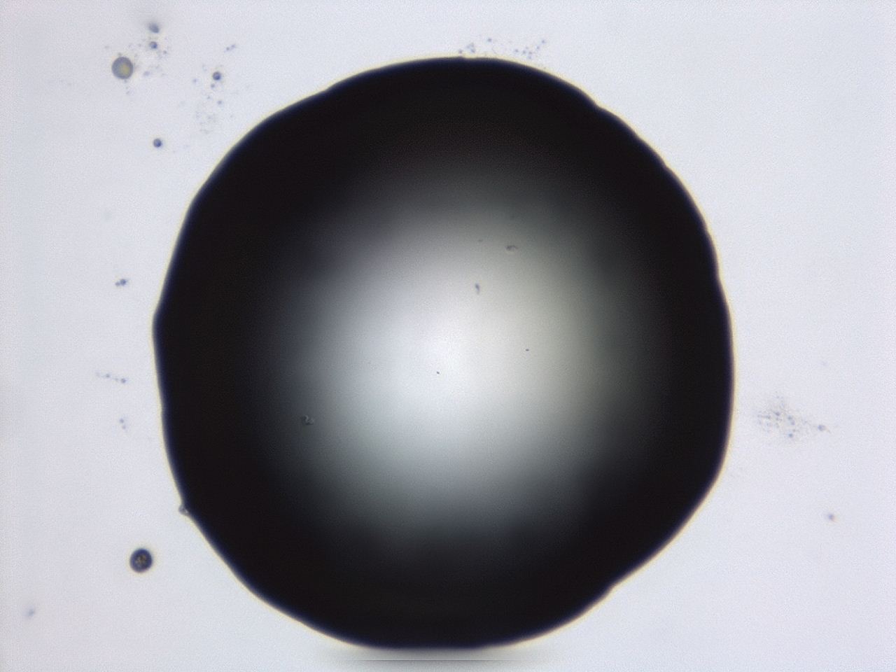04g9_E6_ImagerDefaults_0.jpg