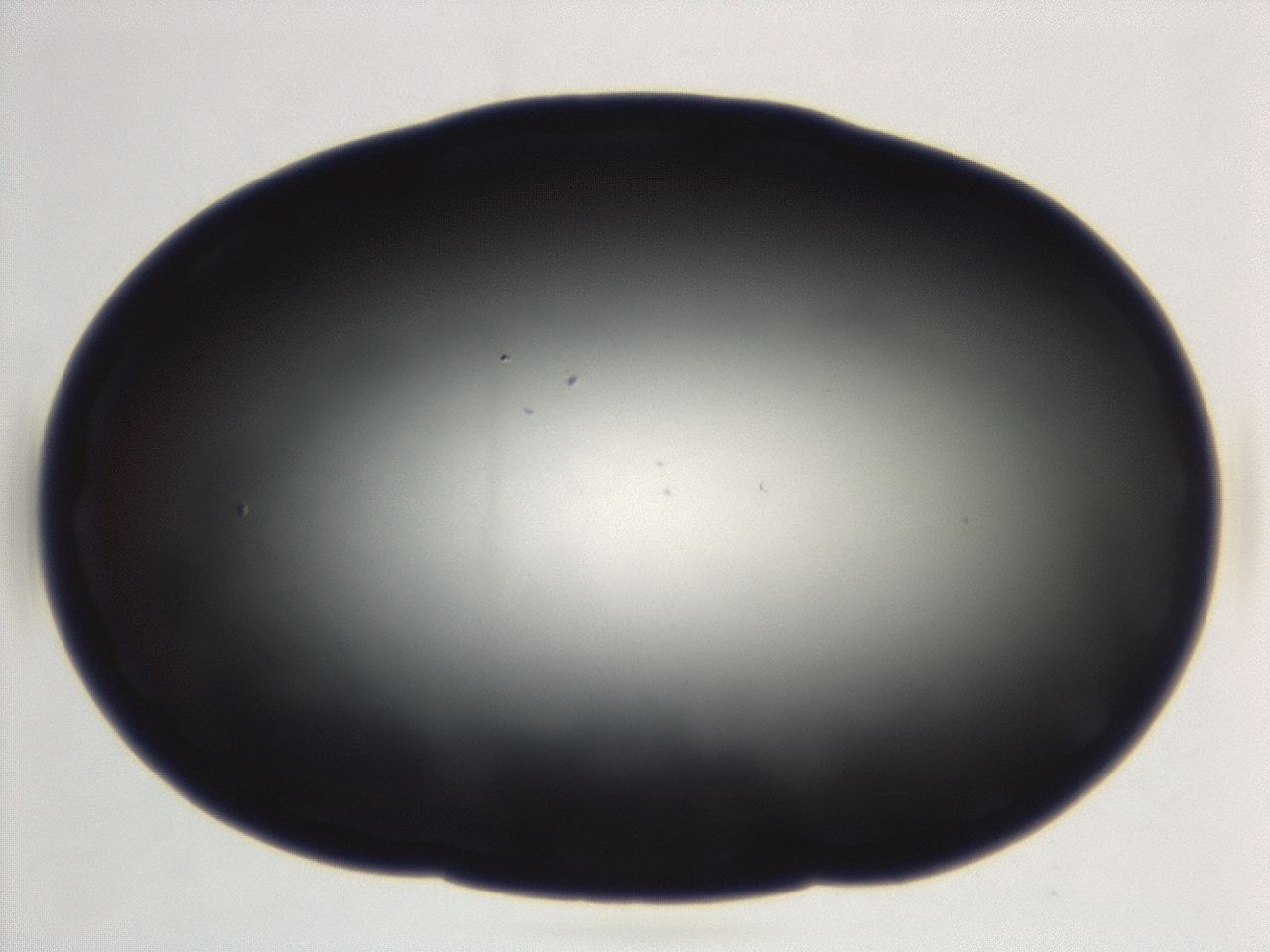 04g9_E9_ImagerDefaults_0.jpg