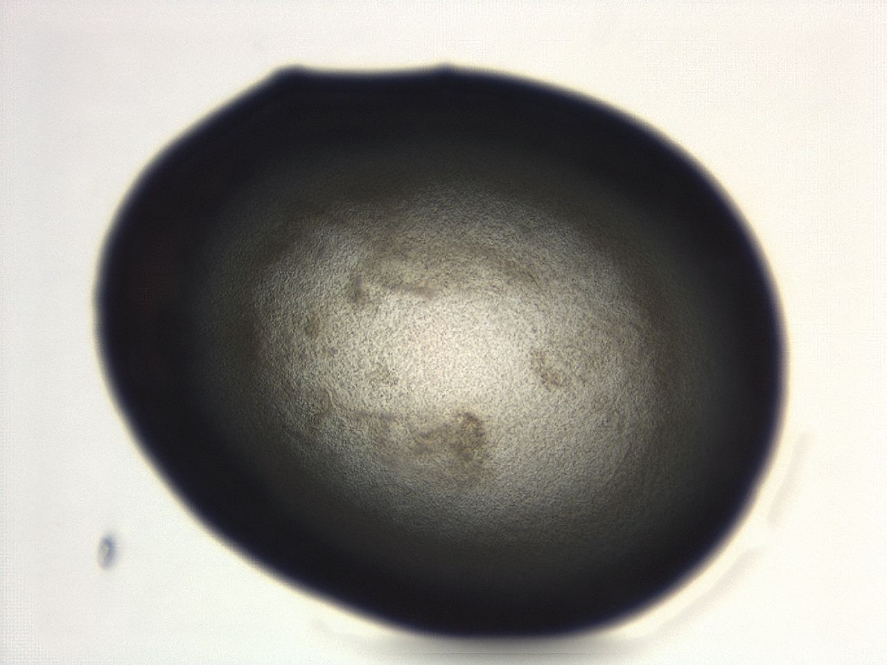 04g9_F1_ImagerDefaults_3.jpg