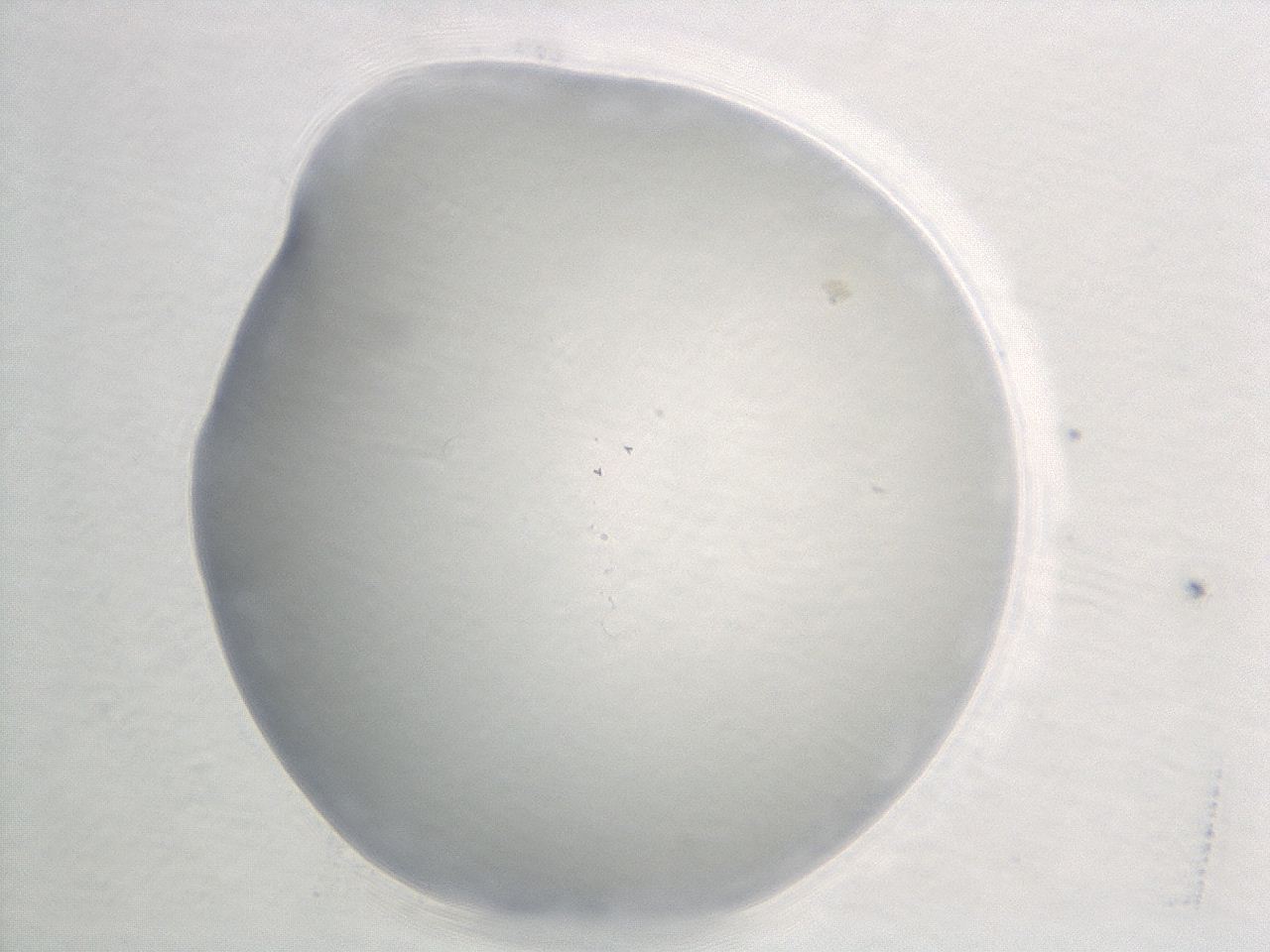 04g9_F6_ImagerDefaults_0.jpg