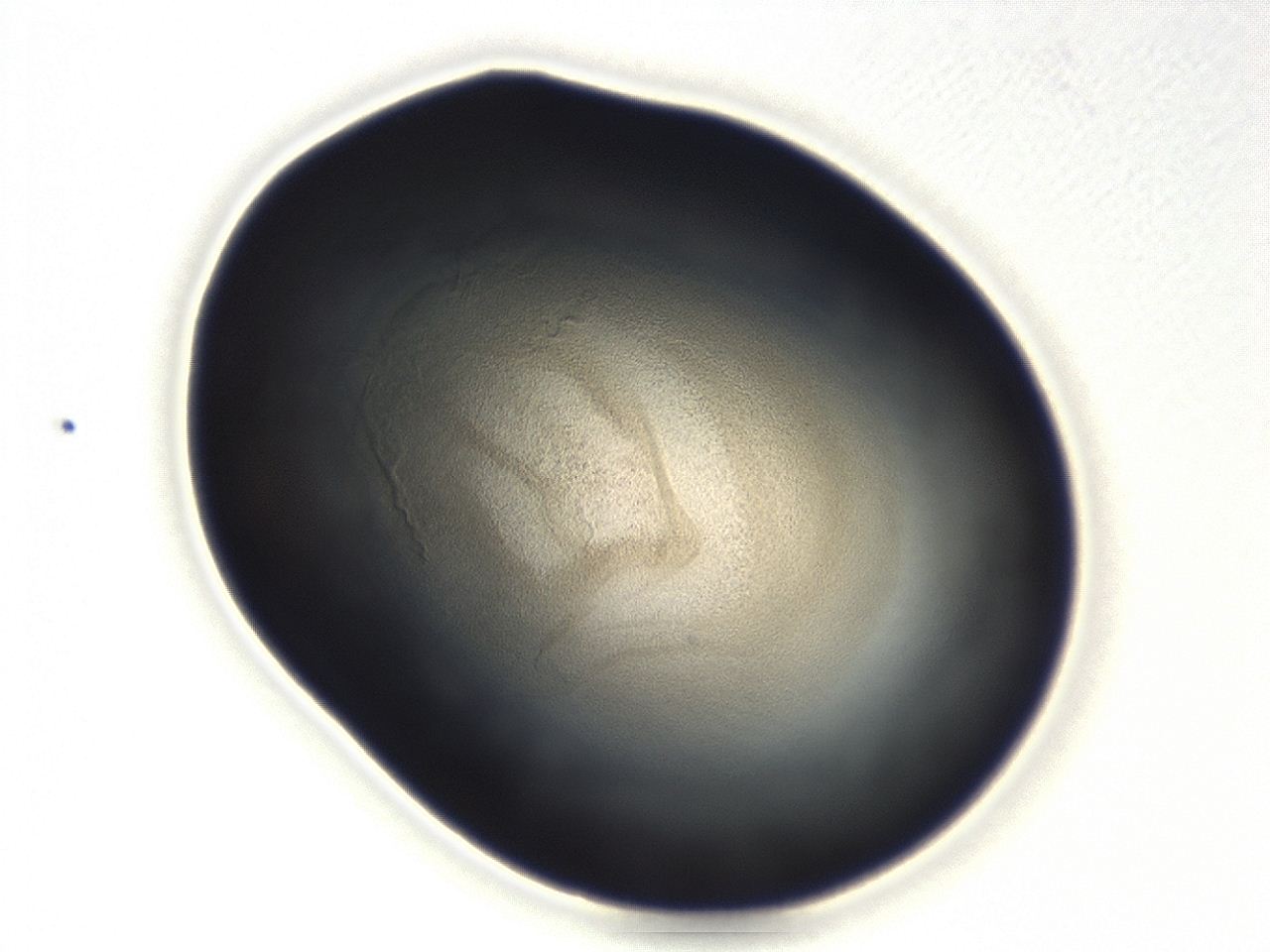 04g9_F7_ImagerDefaults_3.jpg