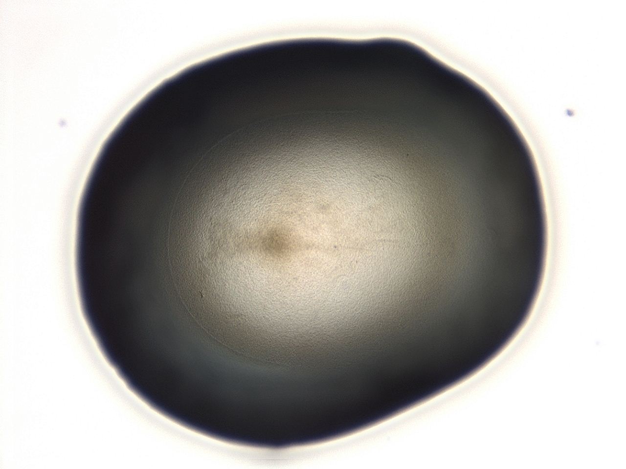 04g9_F8_ImagerDefaults_3.jpg