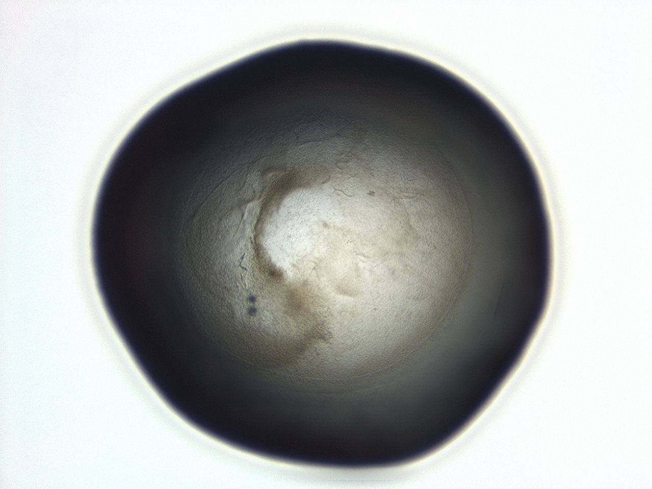 04g9_F10_ImagerDefaults_3.jpg