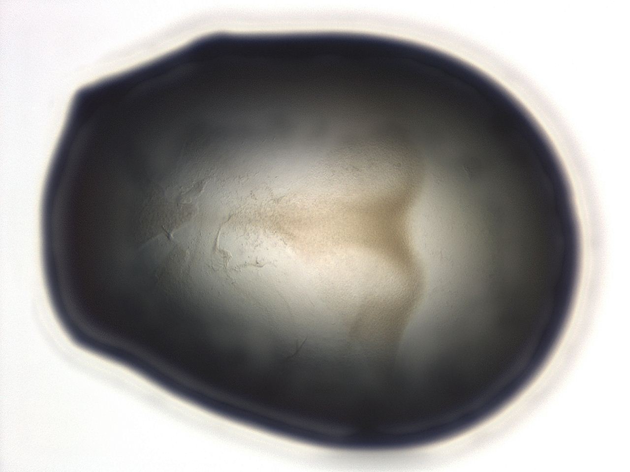 04g9_F12_ImagerDefaults_3.jpg