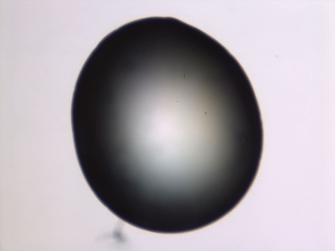 04g9_G7_ImagerDefaults_0.jpg