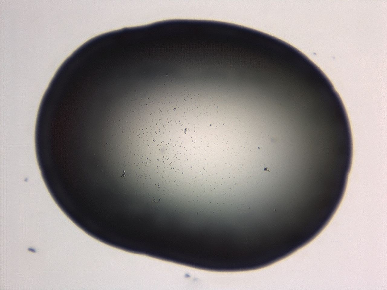 04g9_G8_ImagerDefaults_0.jpg