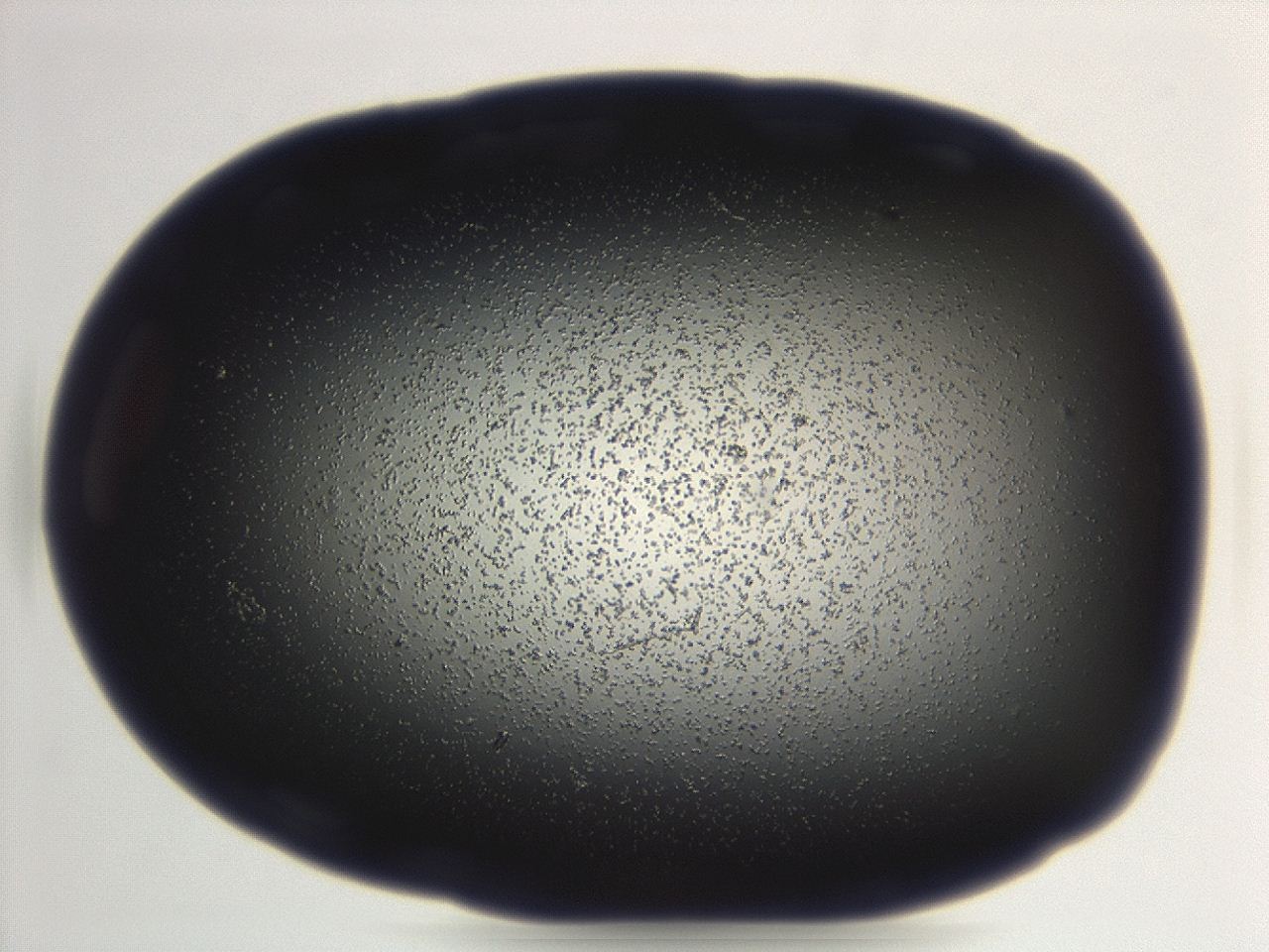 04g9_G9_ImagerDefaults_3.jpg