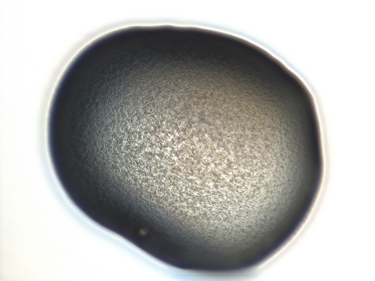 04g9_H1_ImagerDefaults_3.jpg