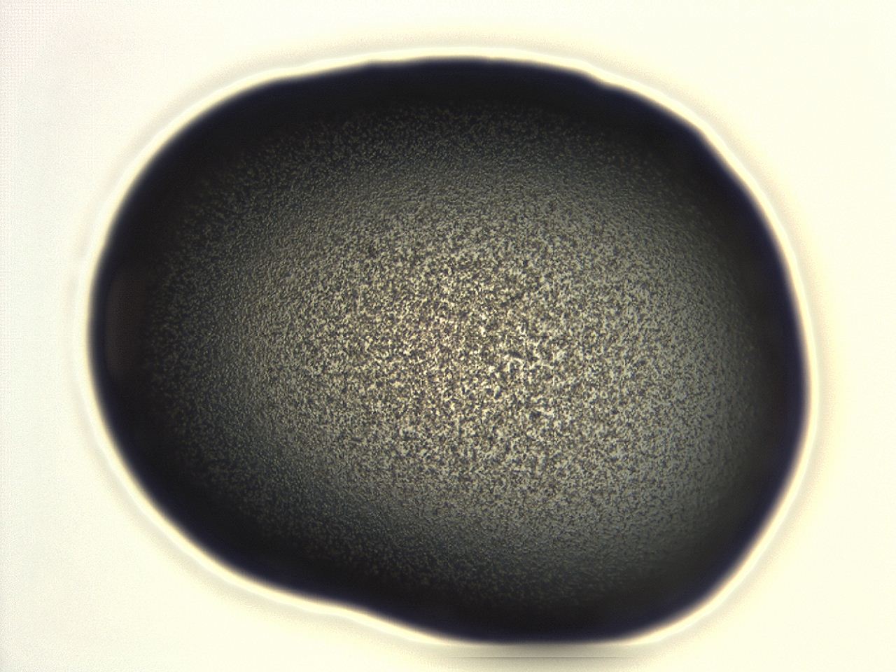 04g9_H2_ImagerDefaults_3.jpg