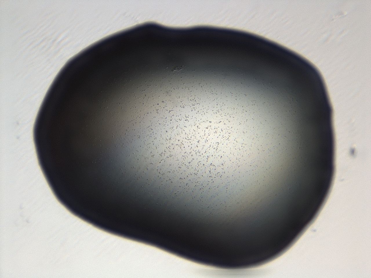 04g9_H4_ImagerDefaults_0.jpg